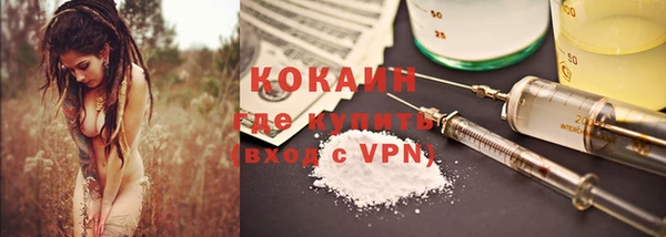 твердый Протвино