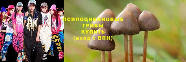 метадон Приозерск