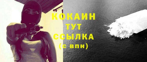 твердый Протвино