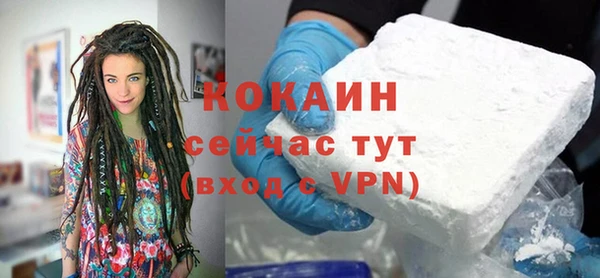 твердый Протвино