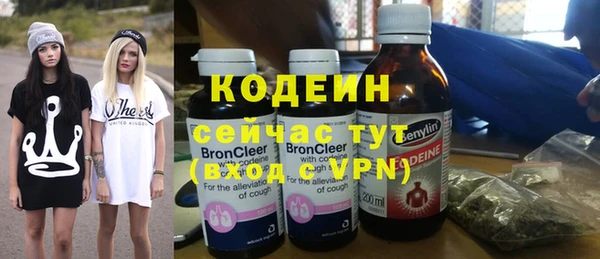 твердый Протвино