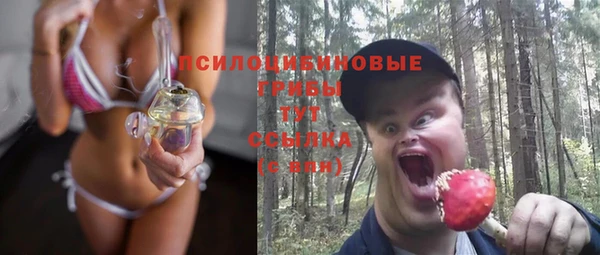 твердый Протвино