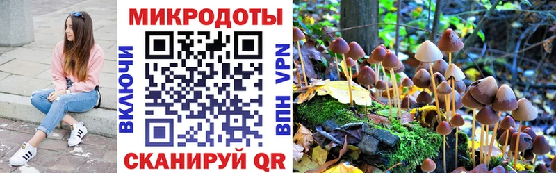 Галлюциногенные грибы GOLDEN TEACHER  Купить  Красноармейск 